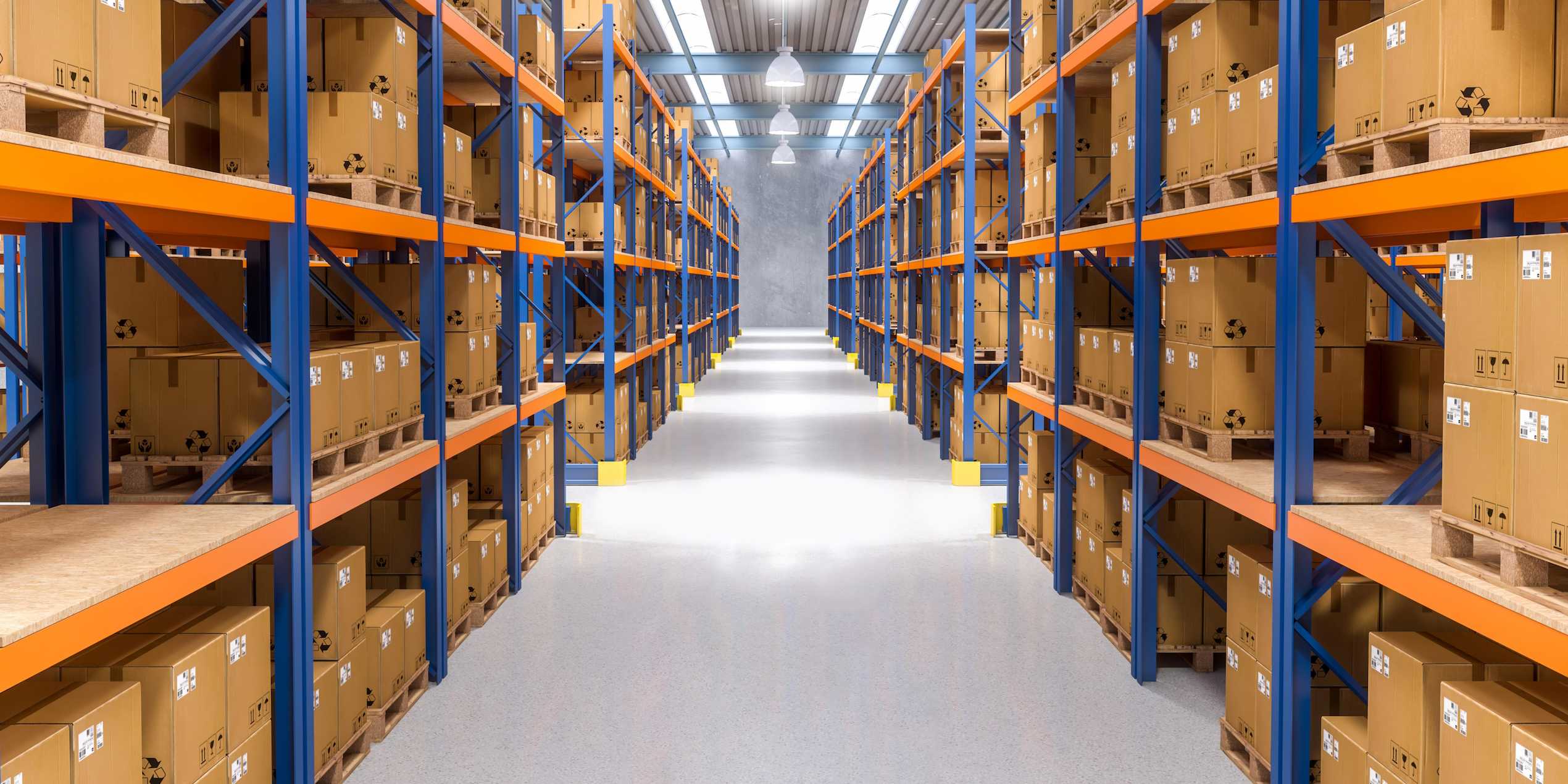 A storage space with shelves and boxes. 